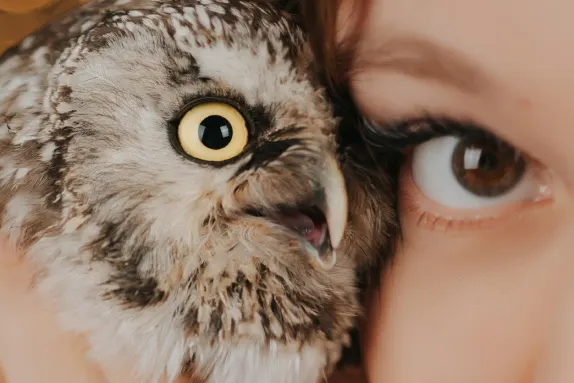 Cazino Loco Win Cazinou Suport